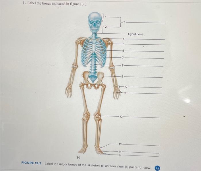 Bones identify part solved figure using indicated transcribed problem text been show has answer