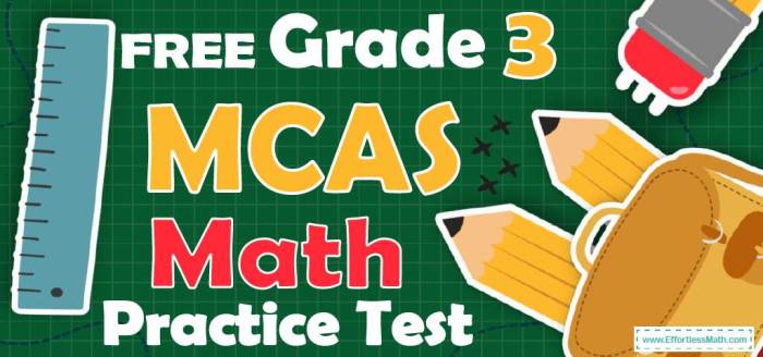 Math mcas practice test grade 10