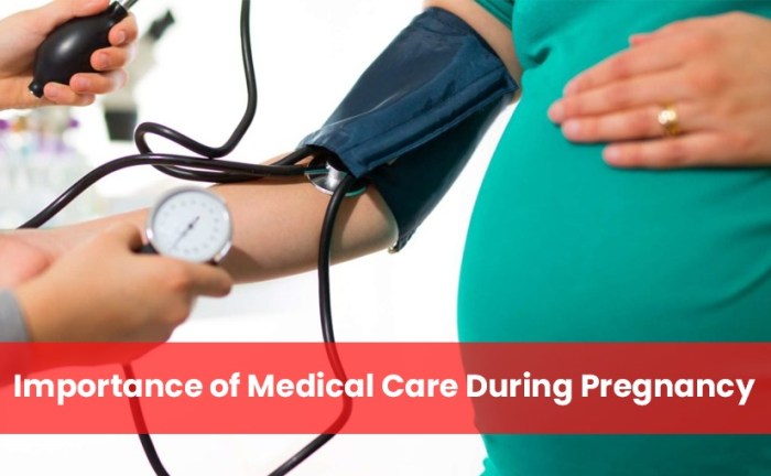 Nursing care during pregnancy edapt