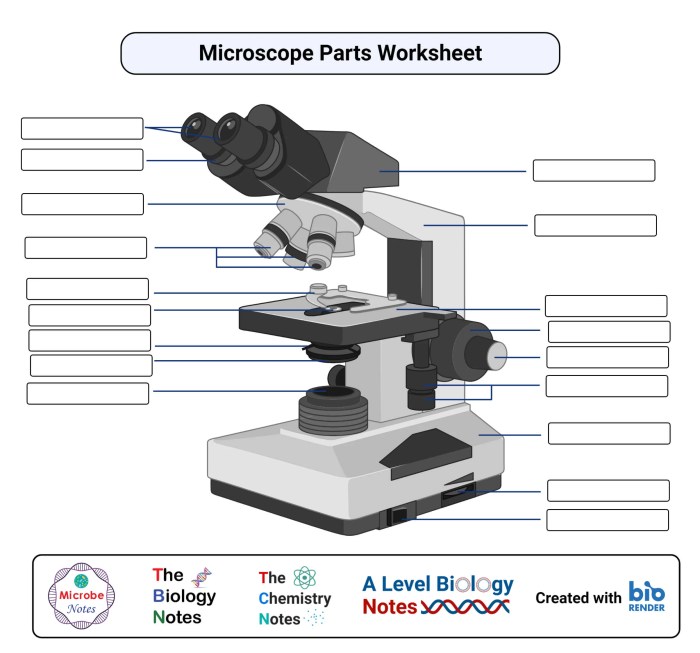 Label the parts of a microscope worksheet