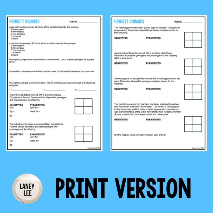 Bloody punnett squares answer key