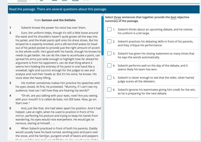 Excerpt herman melville passage select adapted summary objective statements