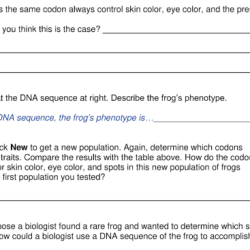 Student exploration dna analysis gizmo answer key