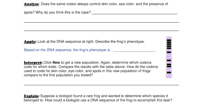 Student exploration dna analysis gizmo answer key