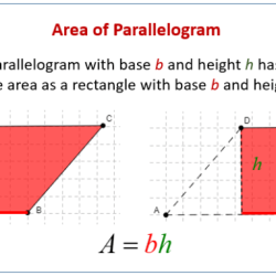 Area of triangles and parallelograms assignment