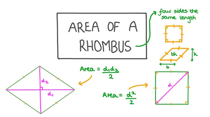 Rhombus kite rectangle square difference between next quadrilaterals